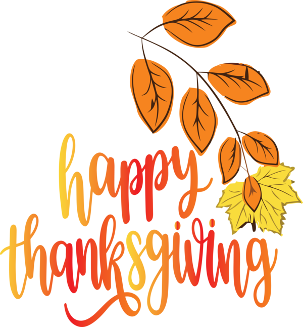 Transparent Thanksgiving Line Commodity Flower for Happy Thanksgiving for Thanksgiving