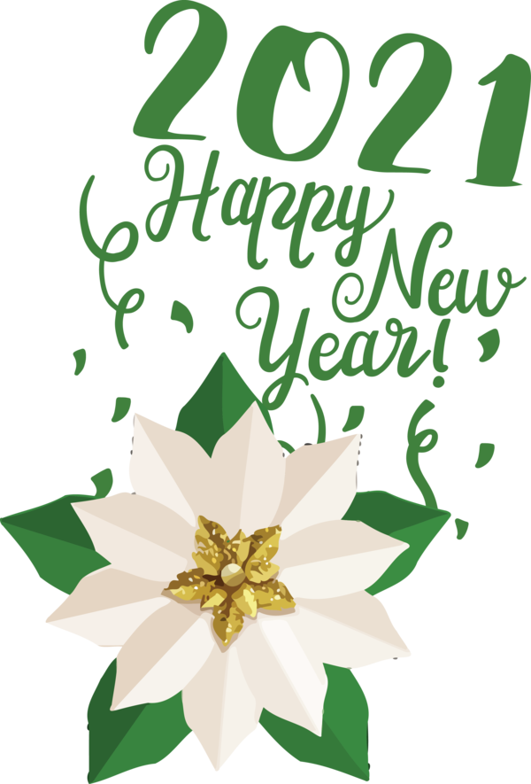 Transparent New Year Floral design Christmas ornament Christmas Day for Happy New Year 2021 for New Year