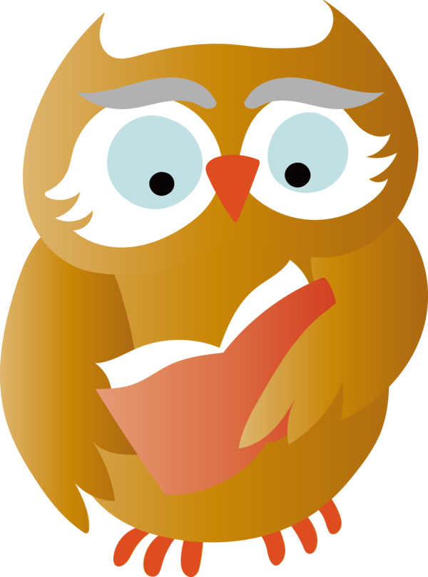 Transparent Thanksgiving Birds Character Cartoon for Thanksgiving Owl for Thanksgiving