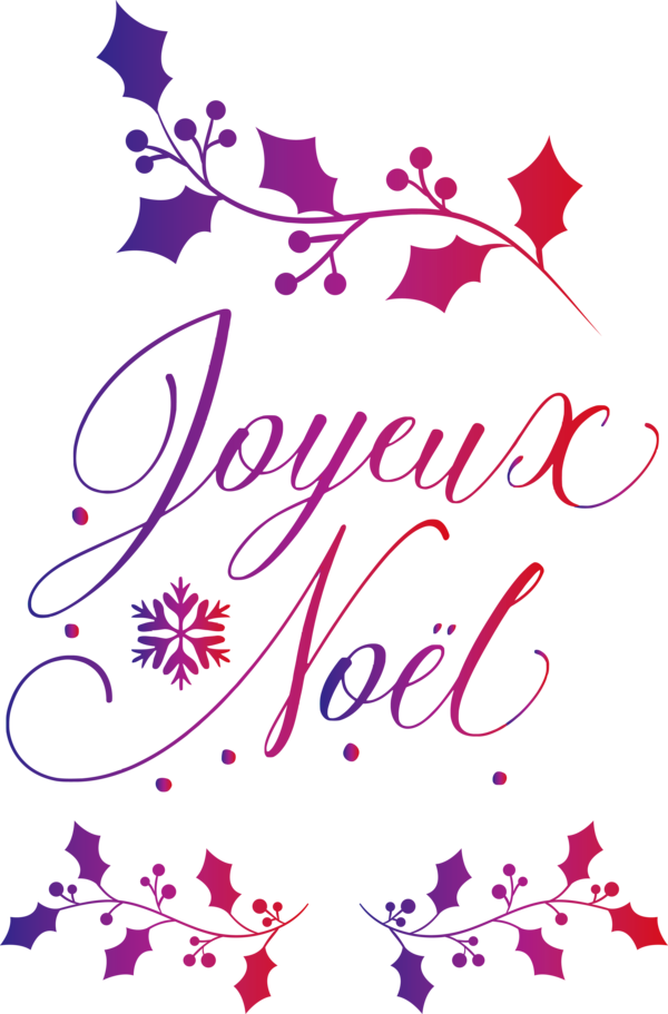 Transparent Christmas Calligraphy Christmas Day Typography for Noel for Christmas