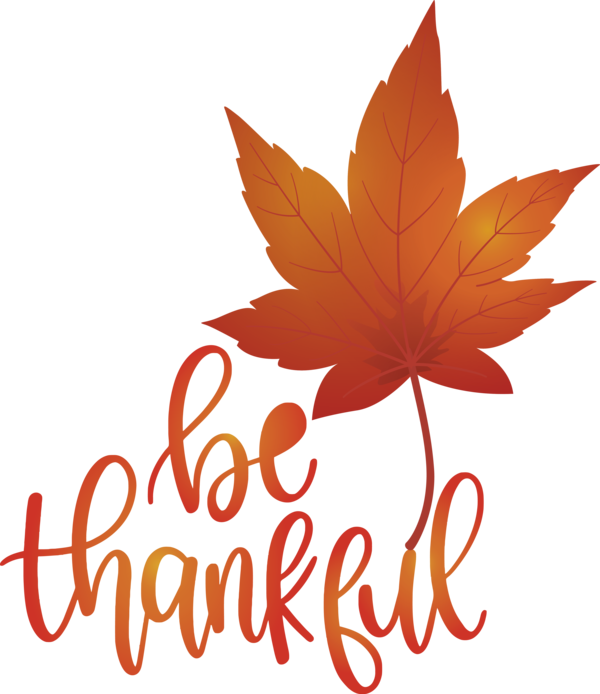 Transparent Thanksgiving Leaf Maple leaf Logo for Happy Thanksgiving for Thanksgiving