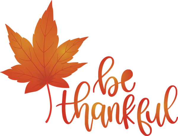 Transparent Thanksgiving Leaf Maple leaf Flower for Happy Thanksgiving for Thanksgiving