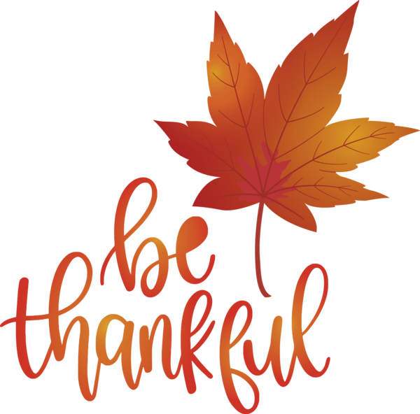 Transparent Thanksgiving Leaf Maple leaf Flower for Happy Thanksgiving for Thanksgiving