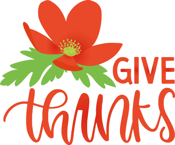 Transparent Thanksgiving Floral design Cut flowers Petal for Happy Thanksgiving for Thanksgiving