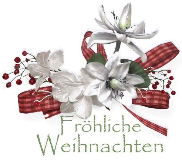 Transparent Christmas Flower Cut flowers Christmas Day for Frohliche Weihnachten for Christmas