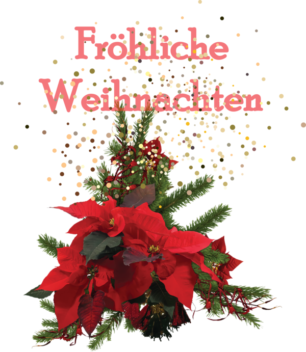 Transparent Christmas Floral design Cut flowers Poinsettia for Frohliche Weihnachten for Christmas