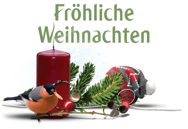Transparent Christmas Bird Supply Christmas Ornament M Christmas Day for Frohliche Weihnachten for Christmas