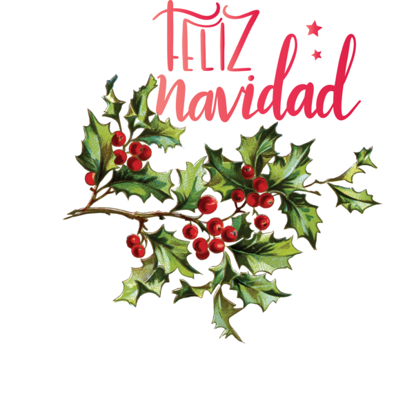 Transparent Christmas Floral design Holly Aquifoliales for Feliz Navidad for Christmas