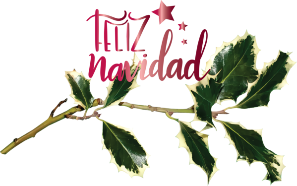 Transparent Christmas Leaf Twig Holly for Feliz Navidad for Christmas