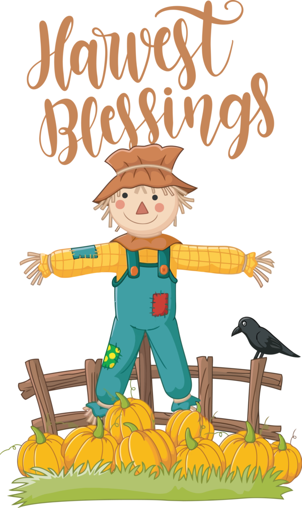 Transparent Thanksgiving Scarecrow Cartoon Drawing for Harvest for Thanksgiving