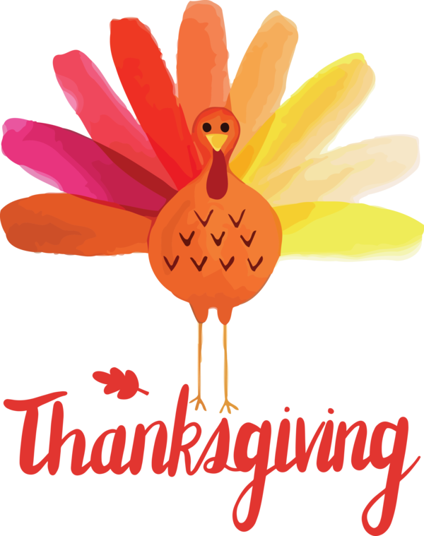 Transparent Thanksgiving Flower Cartoon Petal for Happy Thanksgiving for Thanksgiving