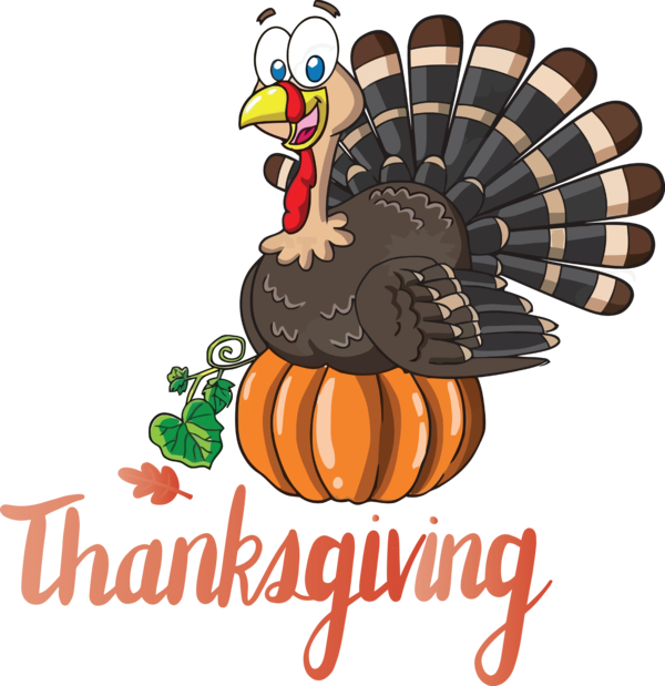 Transparent Thanksgiving Wild turkey Thanksgiving Cartoon for Happy Thanksgiving for Thanksgiving