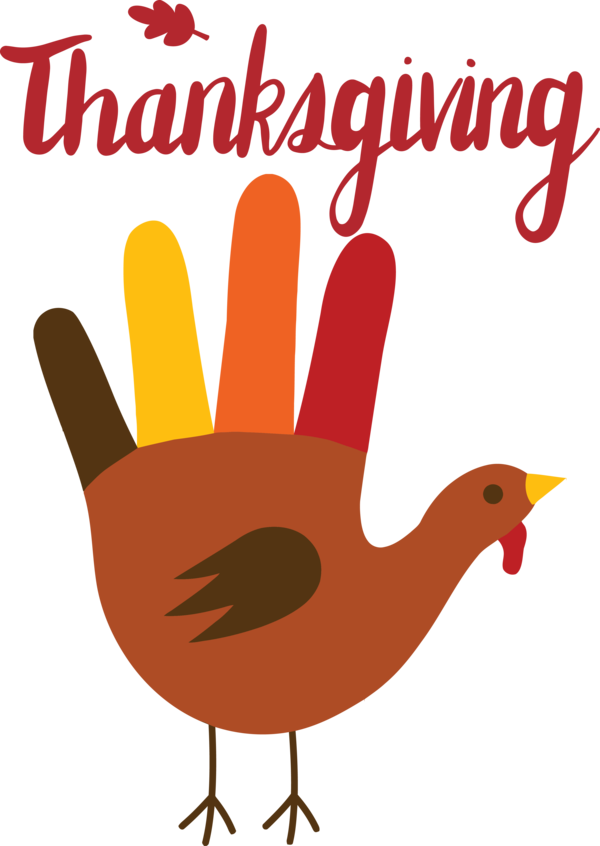 Transparent Thanksgiving Landfowl Chicken Turkey for Happy Thanksgiving for Thanksgiving