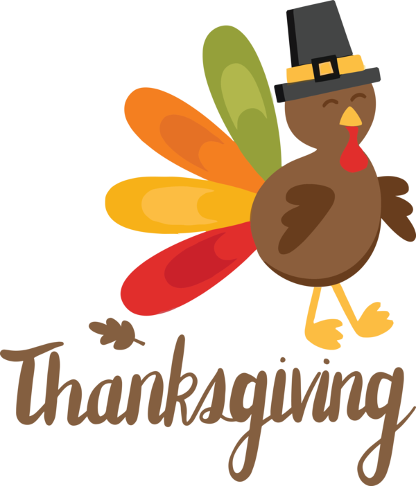 Transparent Thanksgiving Birds Logo Cartoon for Happy Thanksgiving for Thanksgiving