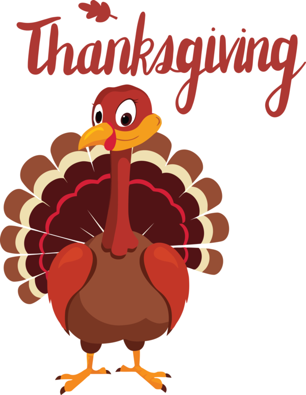 Transparent Thanksgiving Wild turkey Black turkey Turkey meat for Happy Thanksgiving for Thanksgiving