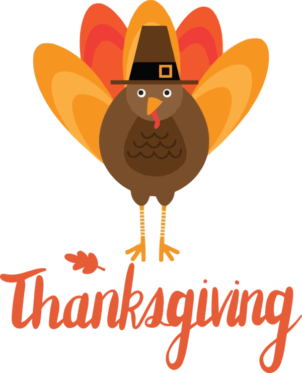 Transparent Thanksgiving Landfowl Chicken Logo for Happy Thanksgiving for Thanksgiving