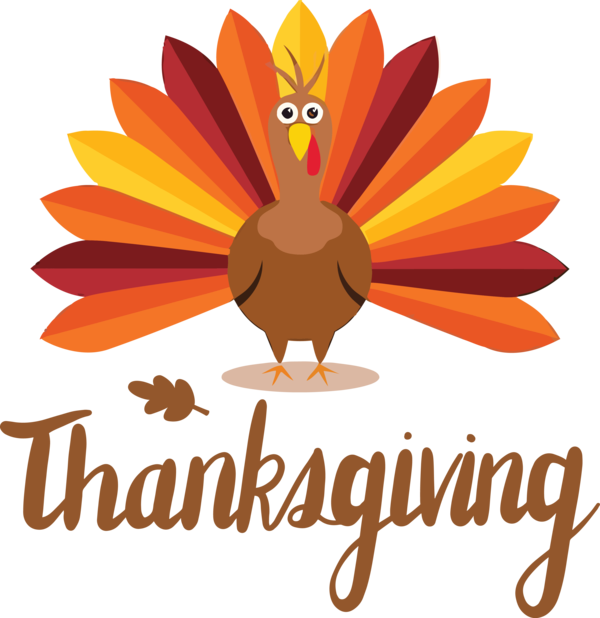 Transparent Thanksgiving Turkey Turkey meat Thanksgiving dinner for Happy Thanksgiving for Thanksgiving
