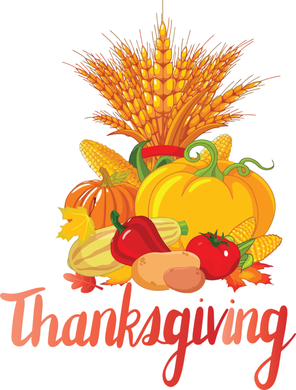Transparent Thanksgiving Harvest festival Festival 2020 for Happy Thanksgiving for Thanksgiving