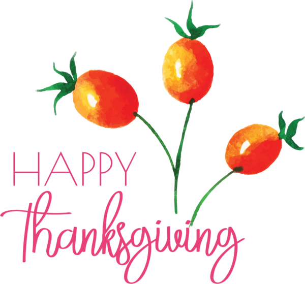 Transparent Thanksgiving Vegetable Natural foods Superfood for Happy Thanksgiving for Thanksgiving