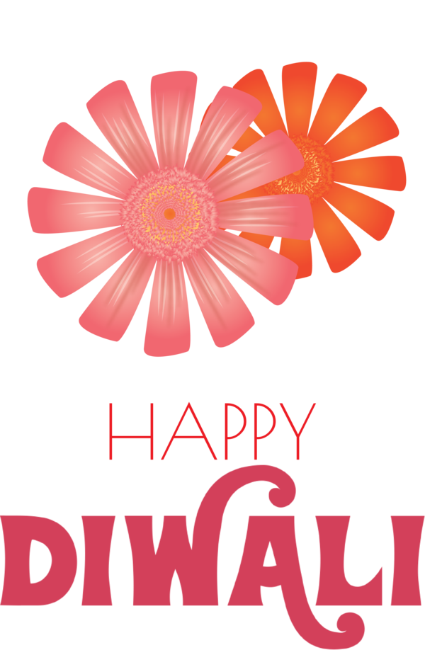 Transparent Diwali Floral design Transvaal daisy Cut flowers for Happy Diwali for Diwali