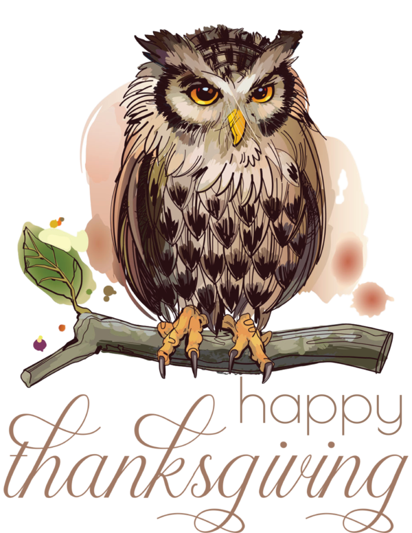 Transparent Thanksgiving Drawing Owls for Happy Thanksgiving for Thanksgiving