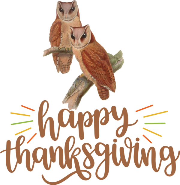 Transparent Thanksgiving Birds Beak Bird of prey for Happy Thanksgiving for Thanksgiving