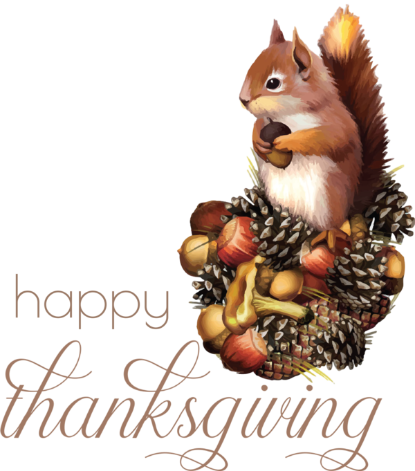 Transparent Thanksgiving Squirrels Chipmunks Eastern gray squirrel for Happy Thanksgiving for Thanksgiving