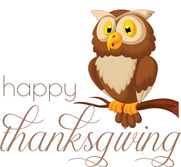 Transparent Thanksgiving Caricature Cartoon Owls for Happy Thanksgiving for Thanksgiving