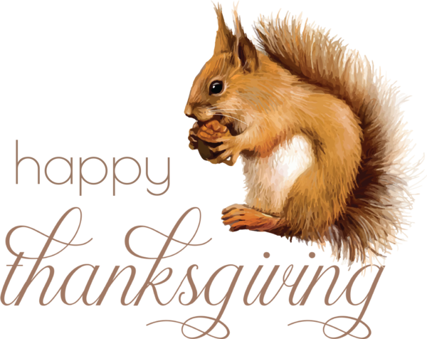 Transparent Thanksgiving Fox squirrel Purple squirrel Drawing for Happy Thanksgiving for Thanksgiving