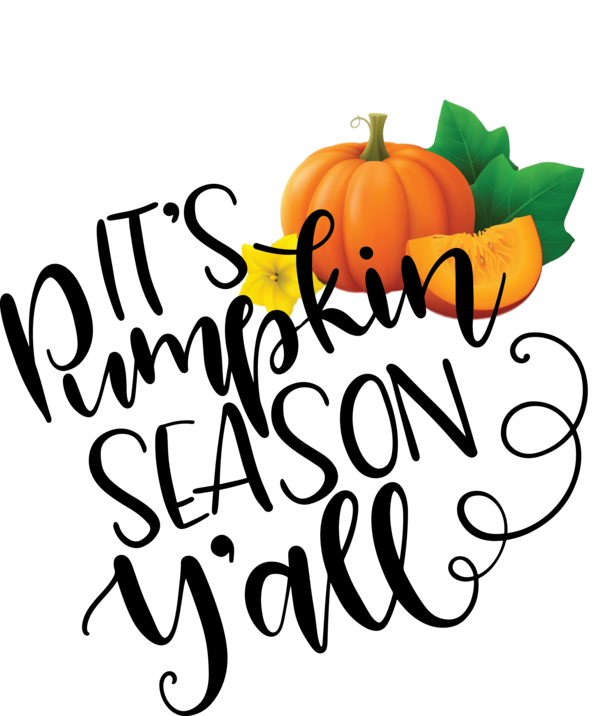 Transparent Thanksgiving Vegetable Flower Pumpkin for Thanksgiving Pumpkin for Thanksgiving