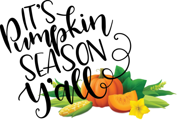 Transparent Thanksgiving Flower Vegetable Cartoon for Thanksgiving Pumpkin for Thanksgiving