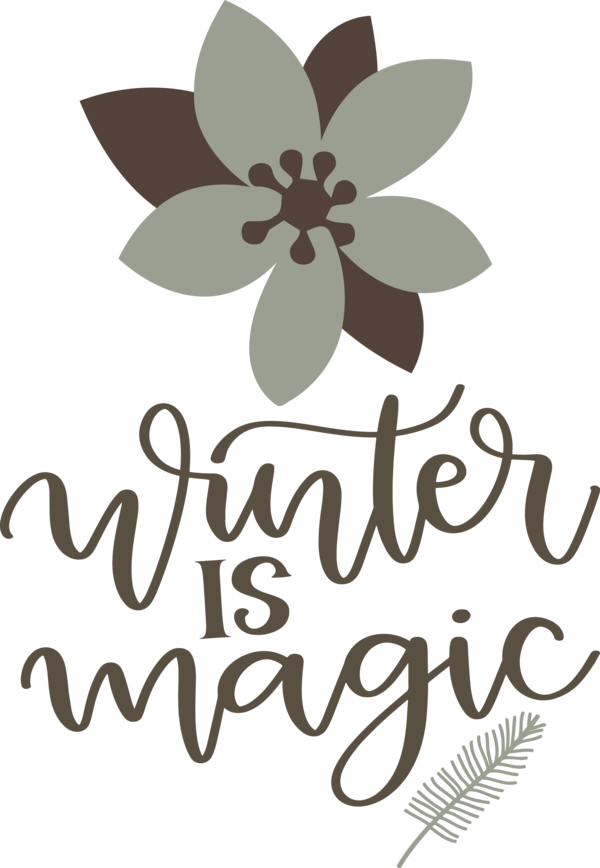Transparent Christmas Floral design Flower Logo for Hello Winter for Christmas
