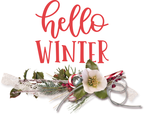 Transparent Christmas Flower Floral design Cut flowers for Hello Winter for Christmas