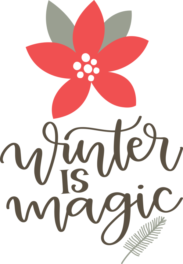 Transparent Christmas Cut flowers Design Logo for Hello Winter for Christmas