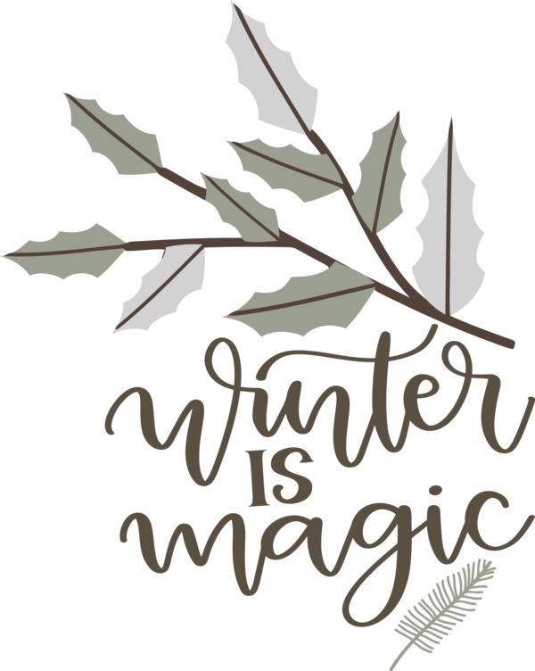 Transparent Christmas Leaf Logo Calligraphy for Hello Winter for Christmas
