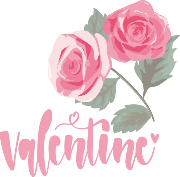 Transparent Valentine's Day Floral design Rose Flower for Valentines for Valentines Day