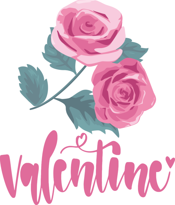 Transparent Valentine's Day Floral design Garden roses Rose family for Valentines for Valentines Day
