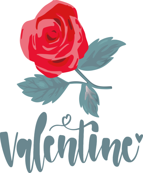 Transparent Valentine's Day Floral design Rose Design for Valentines for Valentines Day