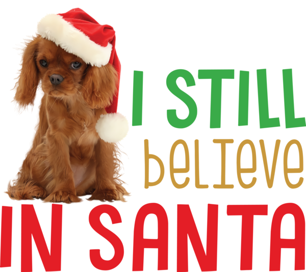 Transparent christmas Dog Puppy Snout for Santa for Christmas