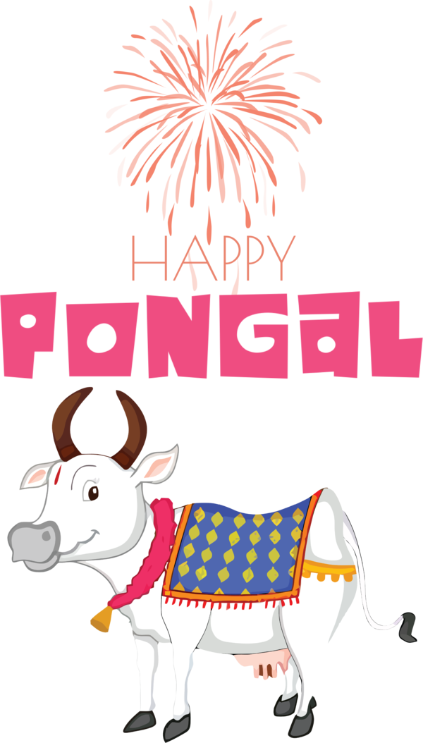 Transparent Pongal Goat Pongal Pongal for Thai Pongal for Pongal