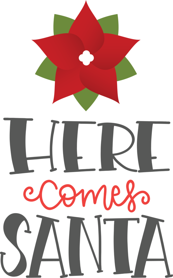 Transparent Christmas Flower Logo Design for Santa for Christmas