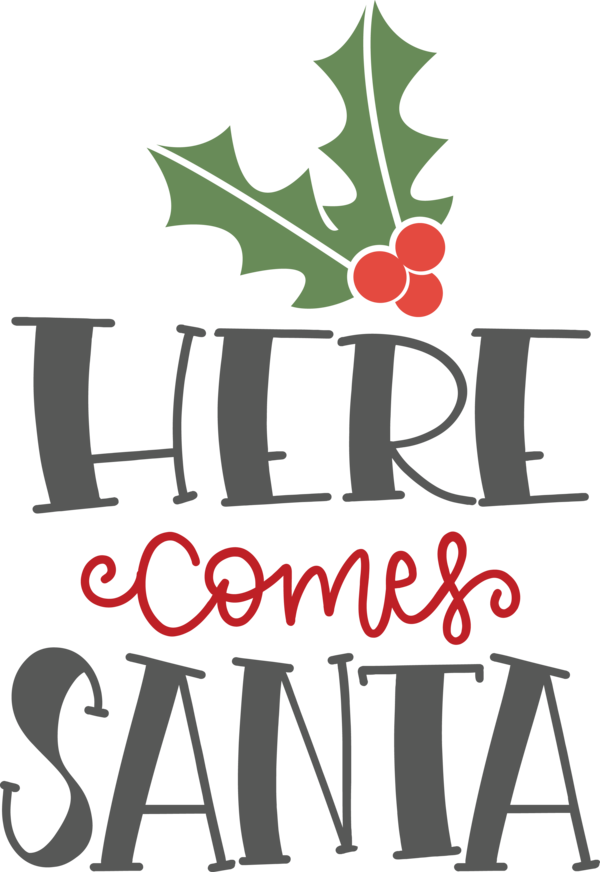 Transparent Christmas Flower Logo Design for Santa for Christmas