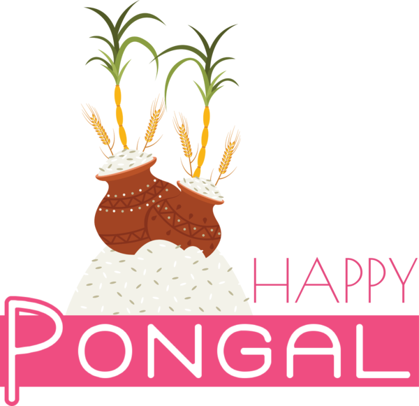Transparent Pongal Pongal Pongal Tamil cuisine for Thai Pongal for Pongal