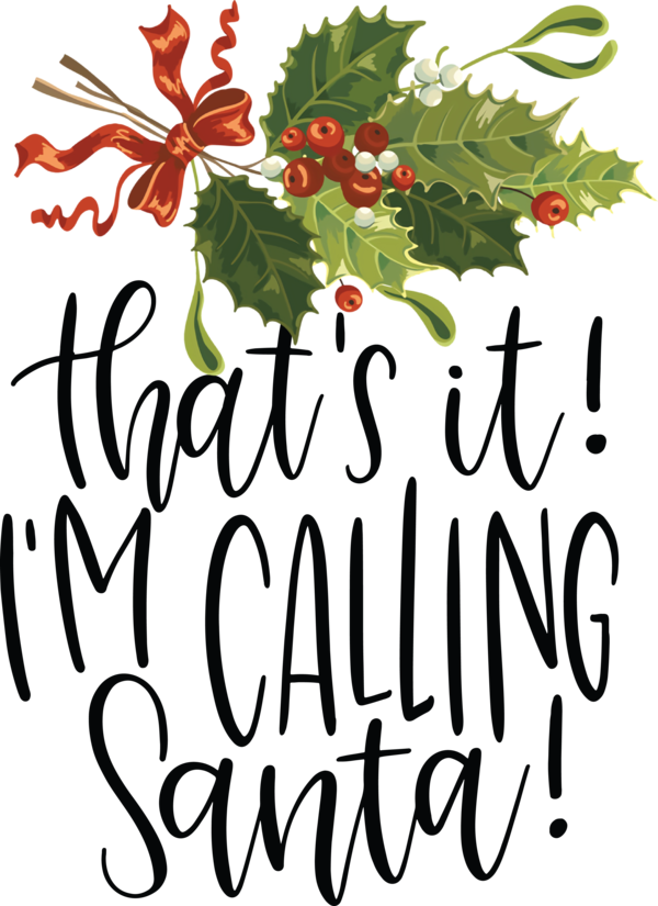 Transparent Christmas Holly Christmas decoration Floral design for Santa for Christmas