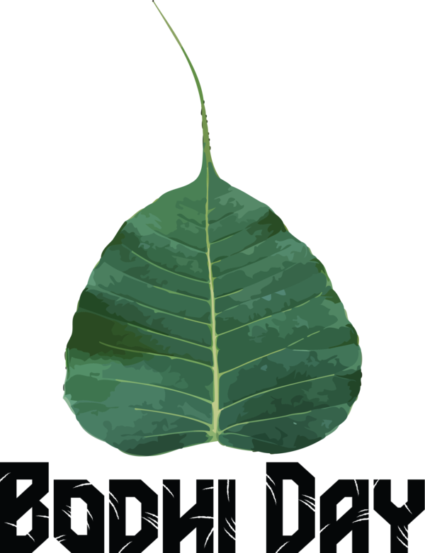 Transparent Bodhi Day Bodhi tree Bodhgaya Bihar Leaf Sacred fig for Bodhi for Bodhi Day