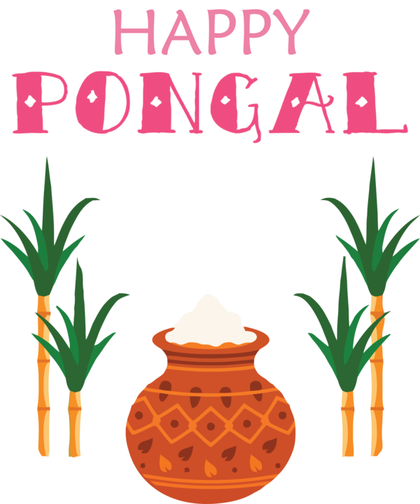 Transparent Pongal Sugarcane juice Pongal Sugarcane for Thai Pongal for Pongal