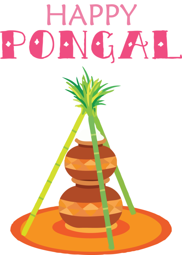 Transparent Pongal Pongal Rice Pongal for Thai Pongal for Pongal
