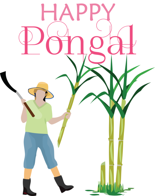 Transparent Pongal Sugarcane Sugar Design for Thai Pongal for Pongal