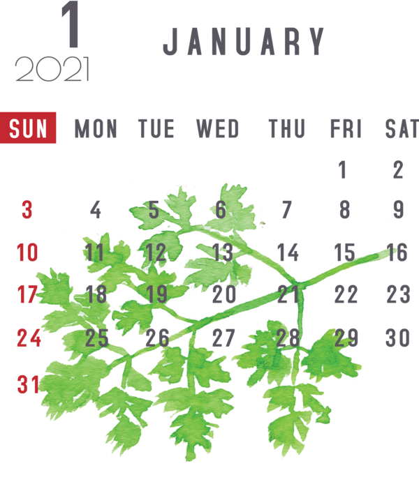 Transparent New Year Leaf Plant stem Leaf vegetable for Printable 2021 Calendar for New Year