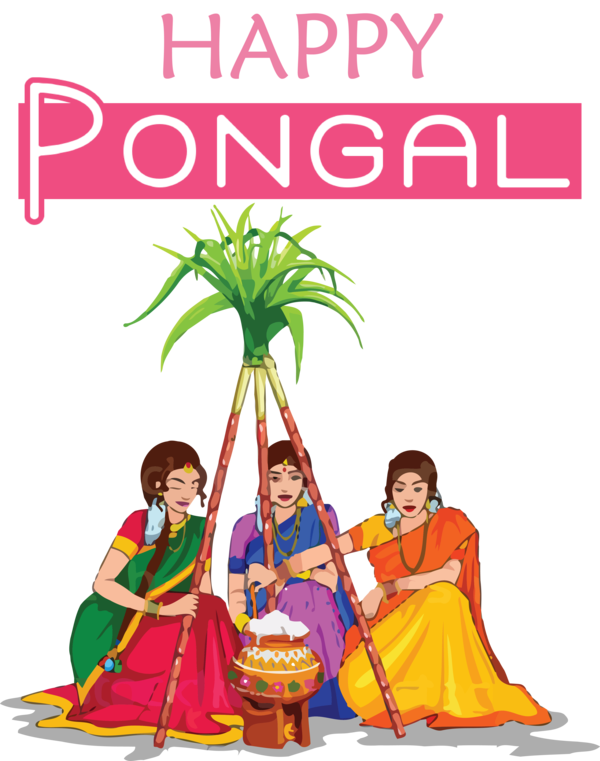 Transparent Pongal Pongal South India Pongal for Thai Pongal for Pongal